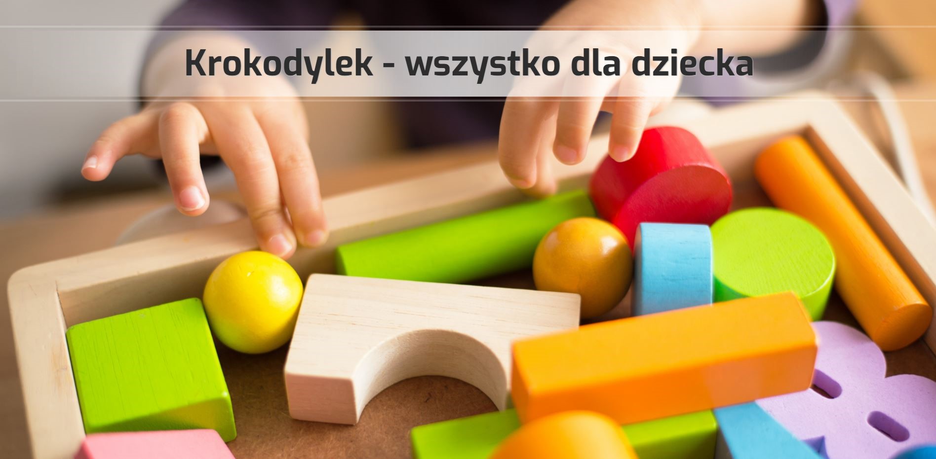 Wizytówka Internetowa